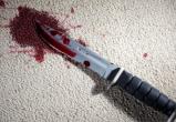 В Череповце женщина убила сожителя ножом 