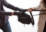 Женского похитителя сумок нашли в Череповце