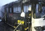Под Шексной сгорел на ходу пассажирский автобус 