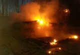 На пожаре на базе под Череповцом серьёзно обгорел завхоз