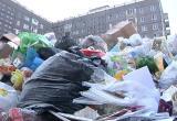 Активисты ОНФ выявили очевидное: мусор в Череповце не убирается