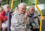 В Череповце пообещали сделать бесплатным проезд в автобусах