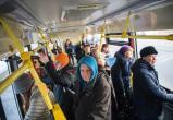 В Череповце увеличится стоимость проезда в общественном транспорте