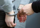 На Вологодчине задержан водитель, сбивший двух подростков