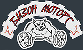 Бизон Моторс