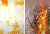 Во имя безопасности: в МЧС сожгли три новогодние ёлки в квартире