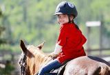 На Вологодчине руководитель конного клуба получила реальный срок за травмирование 9-летней девочки