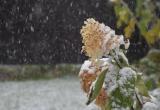 В первый день осени в Вологодской области пойдет снег