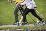 В Череповце для инвалидов открылись занятия по скандинавской ходьбе