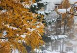 Снег и сильный ветер испортят настроение жителям Череповца