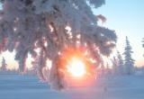 В Вологодскую область придут непродолжительные морозы