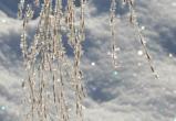 Жителей Вологодской области предупредили о продолжительном снеге, оттепели и гололедице под Новый год