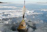 Чемпионат по ловле на блесну со льда состоится в Череповце на следующей неделе
