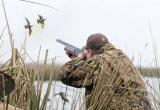 Жителей Вологодской области предупредили об изменении правил охоты