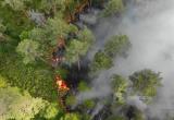 Три лесных пожара произошли на Вологодчине за выходные