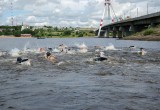 Турнир «Waterman» по плаванию на открытой воде прошел в Череповце