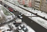В Череповце в пятницу на пешеходном переходе под колеса автомобиля попала школьница