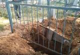 Бывший зек раскопал могилу односельчанки в Череповецком районе