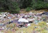 Череповчан возмутили горы мусора у деревни Коротово (ФОТО) 