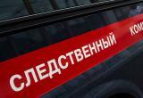 В Москве следователи обыскали офис бывшей фирмы-хранителя Шекснинской птицефабрики 