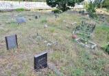 В Череповце ликвидируют кладбище домашних животных 