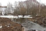 Кошта оказалась второй по загрязнённости рекой в Вологодской области