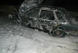 На трассе "Вологда - Новая Ладога" на ходу вспыхнул автомобиль (ФОТО)