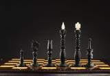 "ФосАгро" выделит 30 миллионов на шахматы