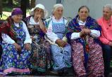 Череповецкие пенсионерки смогли себя защитить