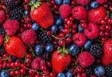 Спелая, садовая: Роскачество оценила вкус ягод