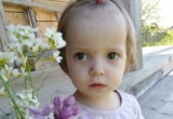 2-летняя Василиса из Тарногского района все еще не найдена
