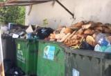 Сколько еды выбрасывают в России и почему?