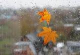 Погода в Череповце на выходные: тепло, дождь и ветер  