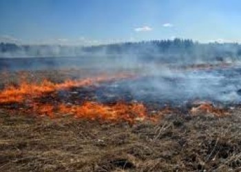 Прокуратура Вологодской области предупреждает об ответственности за поджог травы