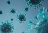 Названа еще одна вероятная причина повышенного уровня смертности от коронавируса