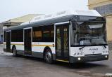 В Череповце стало больше автобусов на линии