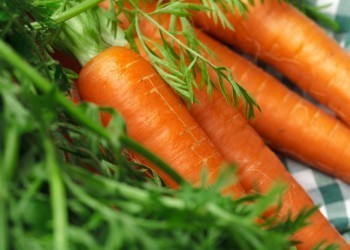 Как выбрать «правильную» морковь