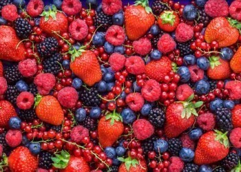 Какие ягоды помогут противостоять вирусам