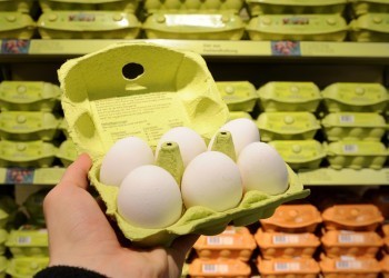 Как правильно выбрать яйца?