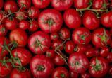 Россия запрещает ввоз яблок и томатов из Азербайджана