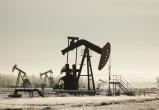 Каковы на самом деле запасы нефти и газа в России