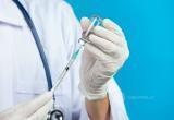 «Дерзкая попытка». Осенью в России могут начаться клинические исследования вакцины против COVID-19 и гриппа