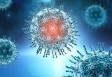 Биолог объяснил, есть ли связь между жарой и мутациями коронавируса