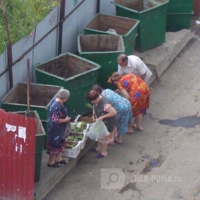 Пенсионеры искали просрочку в мусорных баках. Это не жизнь - это ВЫЖИВАНИЕ! Пенсионеры искали просрочку в мусорных баках. Это не жизнь - это ВЫЖИВАНИЕ!