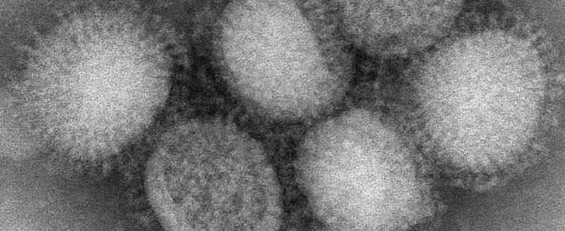 В Вологодской области зафиксировано сразу четыре случая заражения гриппом