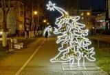 К новому году на улицах областной столицы установят «пьяные елки»