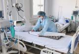 Коронавирус в Вологодской области побил антирекорд четвертый день подряд