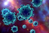 Российский врач-иммунолог назвал «самую плохую» эволюцию коронавируса