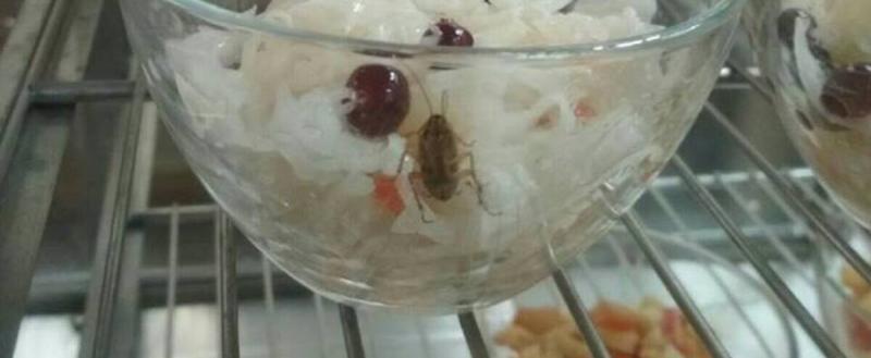Родители череповецких школьников раскритиковали школьное питание: блюда постоянно холодные, да еще и с тараканами