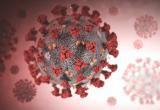 Вирусологи ВОЗ в панике из-за нового штамма коронавируса